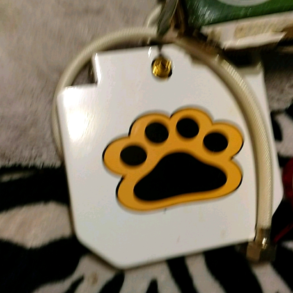 Used dog water fountain